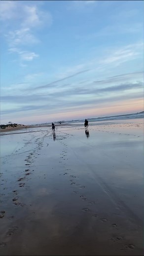 Strong girls galloping fast with horses on the beach | Oussama_horserider
