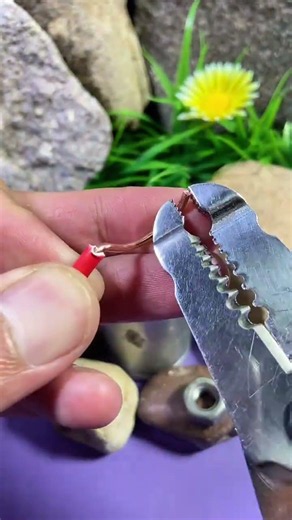 How to Connect a Solid Wire to a Screw #ElectricalWiringTips #shortsfeed #Solid