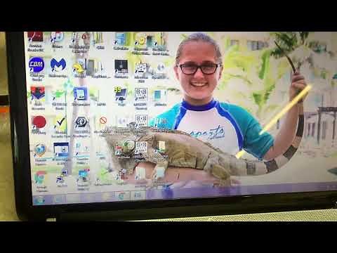 Ace R/C Micropro 8000 (MP8K) PC Utilities