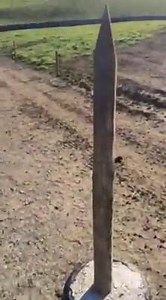 26K views · 384 reactions | Tour of new dairy unit on greenfield site of new dairy entrant in County Mayo. 126 cubicles, 2 Lely Astronaut A4 Robots with automatic drafting, heat detection, SCC counter, Pro & BF % recording, mastitis detection, feed to yield feeding system. Spring calving grass based herd currently milking 2.5 times per day on a A-B grazing system. All plans & installation by Lely Center Mullingar | Lely Center Mullingar Robotic Milking | Facebook