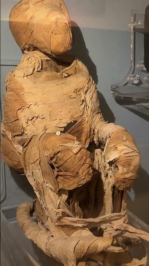 A Sacred Animal from Ancient Egypt #ancientegypt # #egyptianmuseum #pyramidsofegypt #history
