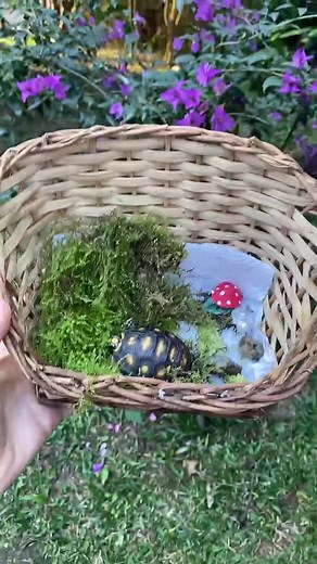 A HORA DE MONTAR É A MELHOR🤍🐢