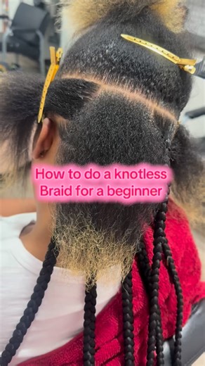 Danielle E. Brown on Instagram: "How to do a knotless braid for beginners #beginnerbraider #braids #knotlessbraids #knotlessbraidtutorial #braidtutorial #howtobraid #fyp"