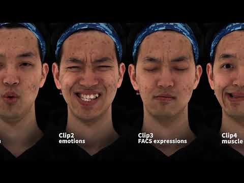 [SIGGRAPH ASIA 2022] Video-driven Neural Physically-based Facial Asset for Production
