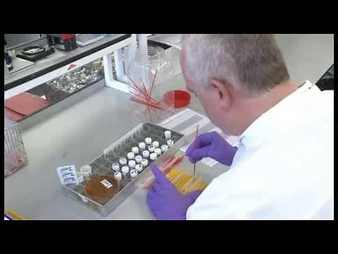 Testing for Salmonella