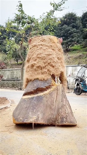 Looks Normal… But Wait For It 😱”satisfying #usa #trending