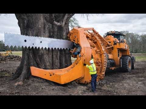 Dangerous Logging Roads & Extreme Forestry Machines | Timber Nexus