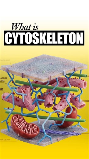 Can You Answer This Cytoskeleton Question? 🤯 | NEET Biology