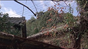 Tora-san 30 - Tora-san, the Expert (1982)