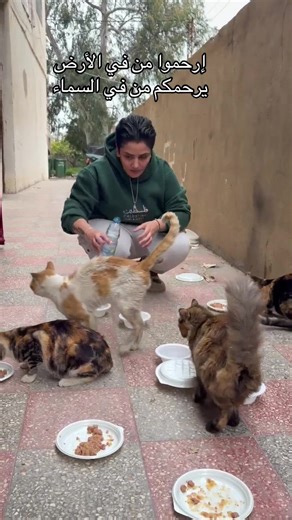 ‏#CapCut @نَزْهه الروبي Nazha Al roubi