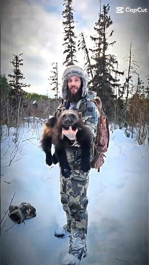 wolf and wolverine trapping #trapping #trapper #mountainman