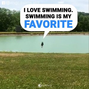 816K views · 12K reactions | I could watch this all day... | Power of Positivity | Facebook