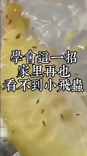 Small flying insects in the house are so annoying in summer. Here is a quick trick to get rid of ...