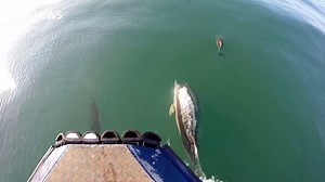 A place of pilgrimage ⛪️ A haven for wildlife 🐬 An adventurer's paradise 🏄 Britain's smallest city St Davids showcased in a new ITV series https://bit.ly/2PvMm9C | ITV Wales