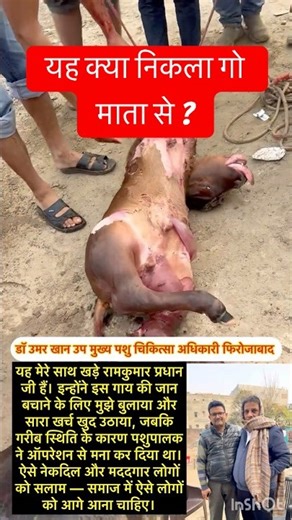 Cesarean section l Dystocia l Difficulty in birth l dr Umar Khan