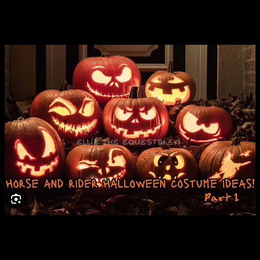 Horse and rider Halloween costume ideas!