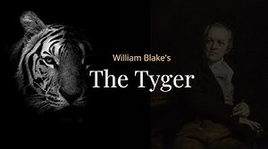 A Critical Appreciation of the Poem The Tyger by William Blake