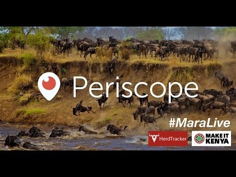 Who Gnu? 2015 Wildebeest Migration Is Live On Video