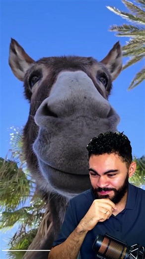 Isso te leve alguma coisa