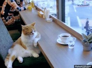 1.8M views · 1.1K shares | BuzzFeed on Reels | Facebook