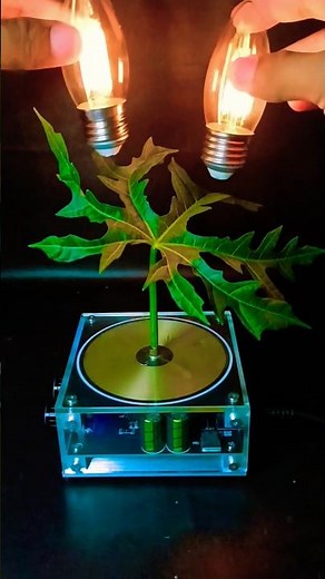 Look at these amazing Tesla coil sparks! #teslacoil #experiment #highvoltage