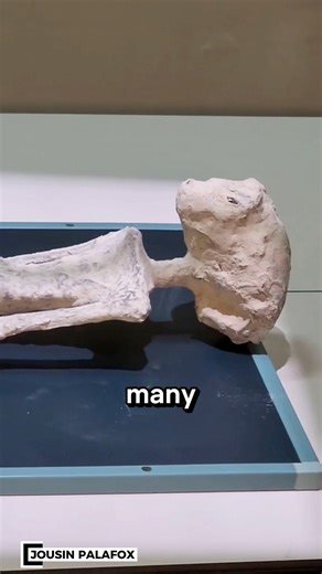 Alien mummy allegedly found near Nazca lines in Peru #aliens #mystery #nazcalines | Jessa Mae Ali Valmores