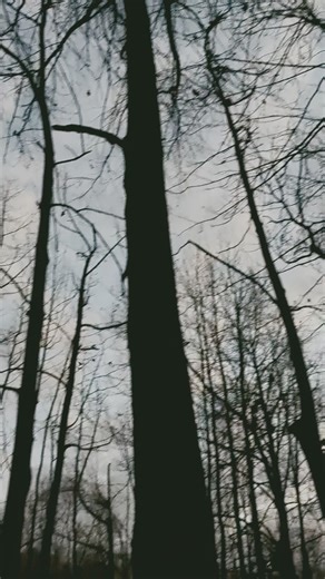 Perfect Wood Duck Scouting Sign #duck