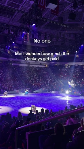 The Pay of the Flying Donkey in Disney on Ice