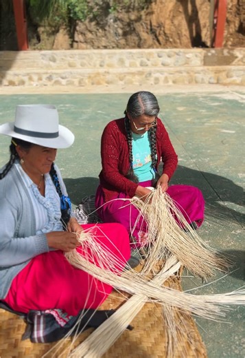 Woven Traditions: Handcrafted Panama Hats from Ecuador