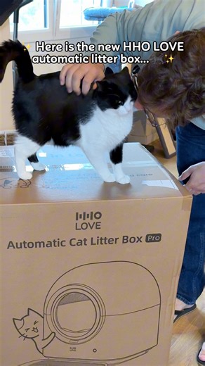 29K views · 483 reactions |  HHOLOVE Halloween Specials are here!   Up to 37% OFF your favorite smart pet products  Get an extra $20 OFF with your code on the official website  Bonus Treat! Buy during the promo, register & bind your product in the HHOLOVE App to instantly get 3,000 O COIN rewards   October 17 – 31 ⏳ Don’t miss out!  Shop now & celebrate with hholove #HHOLOVE #catlitterbox | Lilochipie | Facebook