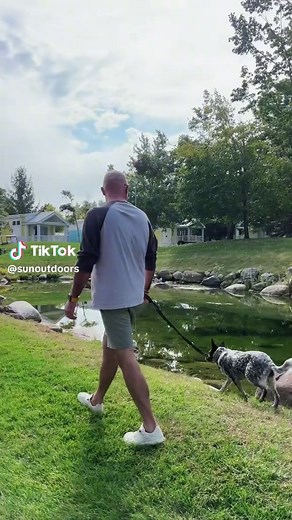 Discover Petoskey, Michigan: Your Summer Getaway Awaits