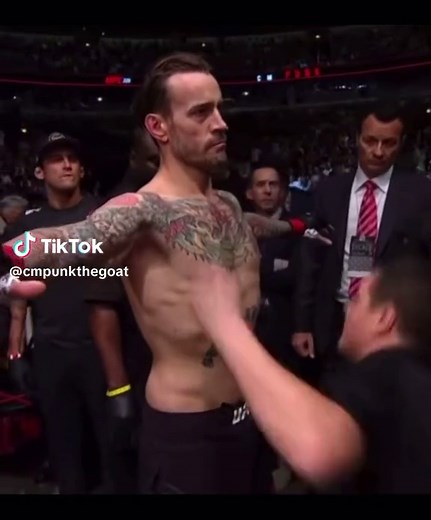 CM Punk UFC Knockout Highlights
