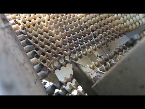 Inside CLEMENTE TORNADO Leaf and Branch Removing machine for Olive Oil Extraction