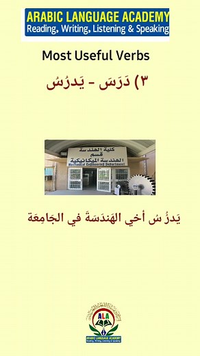 Most Common Arabic verbs, part-2 | Learn Arabic and English #arabic #arabiclearning #education #english #reels #ArabicLanguage #reelschallenge #reelsvideoシ #arabiclanguageacademy #arabiclanguagelearning | Arabic Language Academy