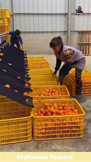 Extreme Orange Packing at Full Speed #shorts