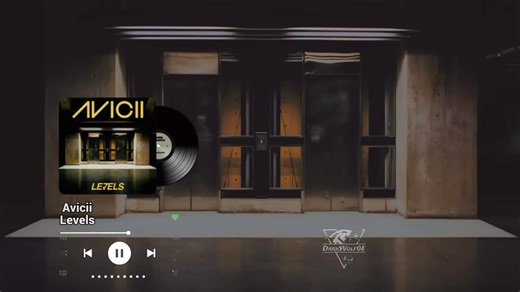 Avicii - Levels: Music Video with Lyrics