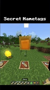 Secret Nametags you probably didn't know about... #minecraft #shorts #fyp