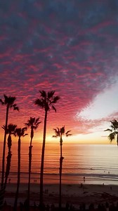 Pacific Terrace guests were treated to front-row seats for one of San Diego’s most unforgettable sunsets to close out 2025 🌅✨ What a way to end the year. Tonight’s skies may look a little different, but you never know what the coast has in store. Tune into our live beach cam at 4:50 PM via the 🔗 below and catch tonight’s sunset in real time 🌊👀 📸: @josh_timpany #PacificTerrace https://www.pacificterrace.com/pacific-beach-webcam/ | Pacific Terrace Hotel
