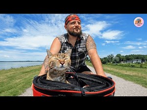 A Stray Cat Chasing A Cyclist Changed His Life