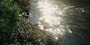 On why asking the right question matters more than finding an answer