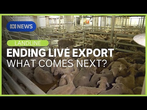 What help should be given to WA farmers as the live export sheep trade ends? | Landline | ABC News