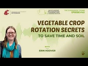 Vegetable Crop Rotation Secrets to Save Time and Soil