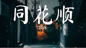 Tong Hua Shun 同花顺 Lyrics Pinyin And English Translation By Su Wei 苏玮 - Lyrics Pinyin