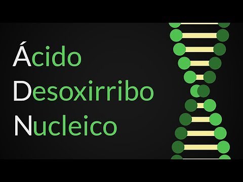 What is DNA? What is its structure and composition? | Hidden Nature