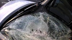 TURKEY INTO WINDSHIELD | Crazy dash cam video shows a turkey flying through the windshield of a semi-truck on I-75 in Sarasota. Amazingly, the turkey survived! What the driver had to say >> https://wfts.tv/2T6BmCf | Tampa Bay 28 - WFTS