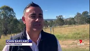 164K views · 137 reactions | Farmers are furious over calls by animal activists to spare the millions of mice plaguing NSW & southern Queensland even suggesting a 'catch and release' program. The Deputy Prime Minister says the activists are at best, stupid with no idea of the damage being done. More Details: https://7news.link/3bErs1X 7NEWS at 6pm. #7NEWS | 7NEWS Perth | Facebook