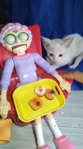 🐑 two different color eyes of white cat and Granny asmr #asmr #granny #trending #viral #shorts