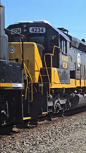 Decatur & Eastern Illinois Railroad Switches Tracks to Grab Their Cars | 5/18/25 | #train #railfan