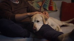 PetSmart TV Spot, 'Pets Are a Journey'