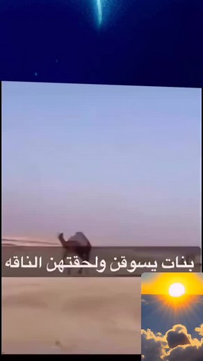 Exploring the Beauty of Camels in the Desert